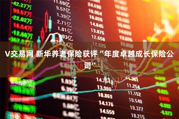 V交易网 新华养老保险获评“年度卓越成长保险公司”