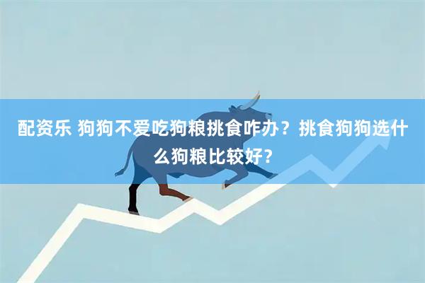 配资乐 狗狗不爱吃狗粮挑食咋办？挑食狗狗选什么狗粮比较好？