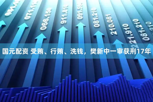国元配资 受贿、行贿、洗钱，樊新中一审获刑17年