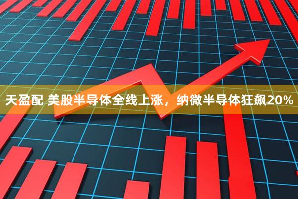 天盈配 美股半导体全线上涨，纳微半导体狂飙20%